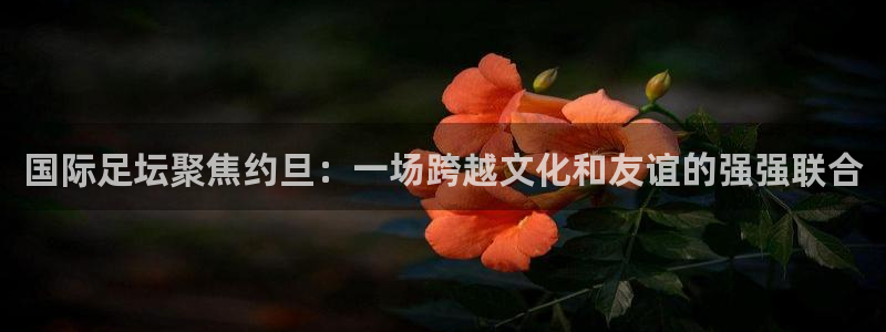 国际足坛聚焦约旦：一场跨越文化和友谊的强强联合
