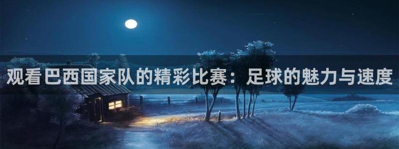  观看巴西国家队的精彩比赛：足球的魅力与速度