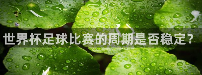  世界杯足球比赛的周期是否稳定？