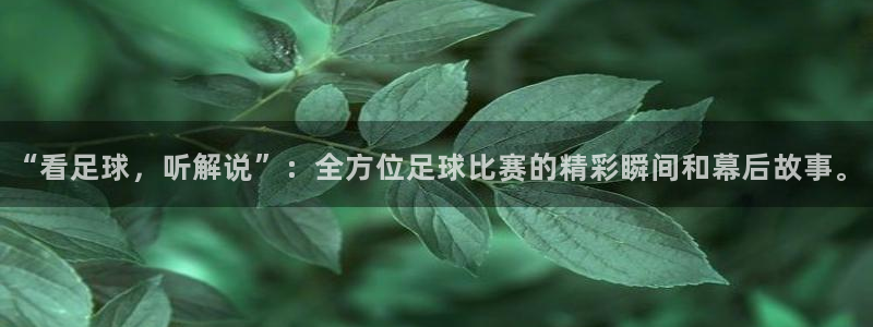  “看足球，听解说”：全方位足球比赛的精彩瞬间和幕后故事。