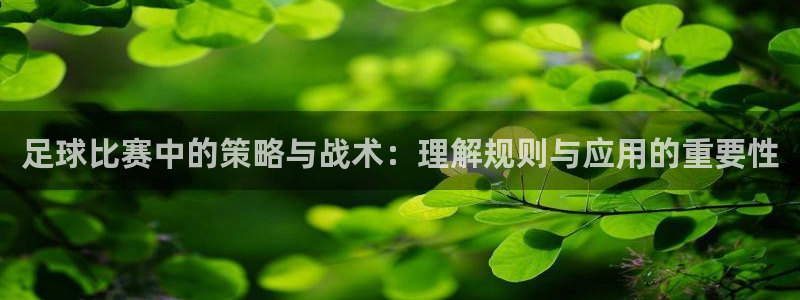  足球比赛中的策略与战术：理解规则与应用的重要性
