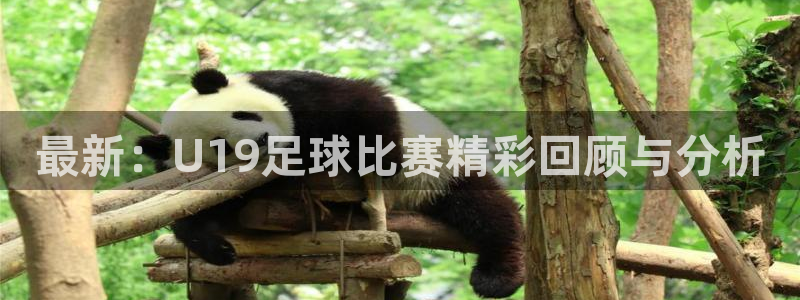 最新：U19足球比赛精彩回顾与分析