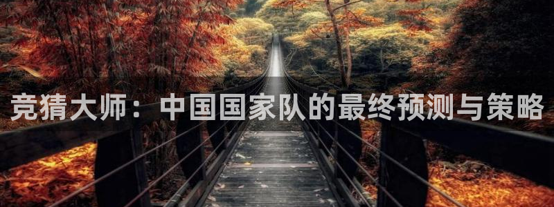 竞猜大师：中国国家队的最终预测与策略