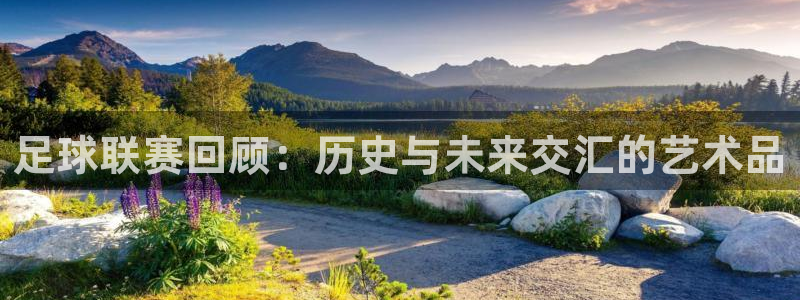 足球联赛回顾：历史与未来交汇的艺术品