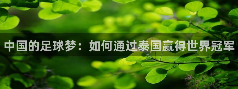  中国的足球梦：如何通过泰国赢得世界冠军