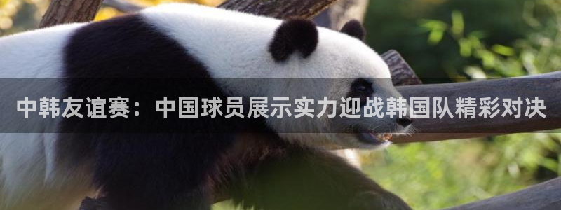 中韩友谊赛：中国球员展示实力迎战韩国队精彩对决