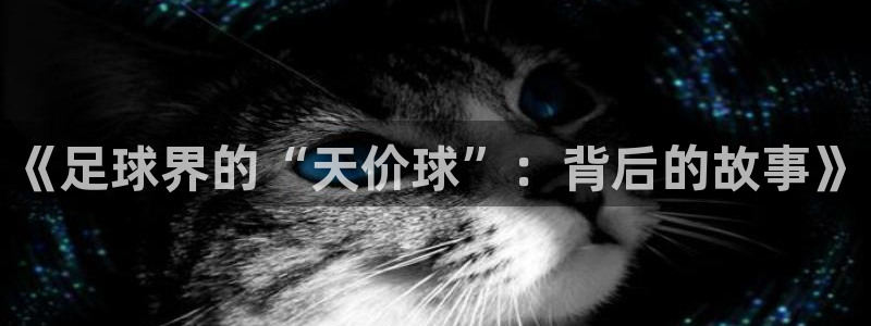 《足球界的“天价球”：背后的故事》
