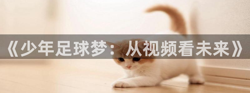 《少年足球梦：从视频看未来》