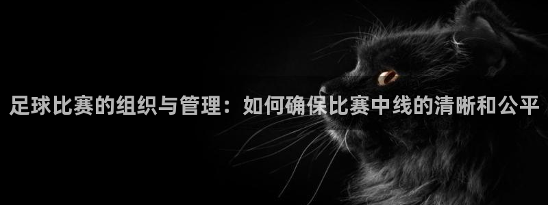  足球比赛的组织与管理：如何确保比赛中线的清晰和公平