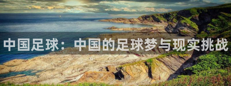  中国足球：中国的足球梦与现实挑战