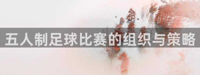  五人制足球比赛的组织与策略