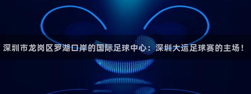 深圳市龙岗区罗湖口岸的国际足球中心：深圳大运足球赛的主场！
