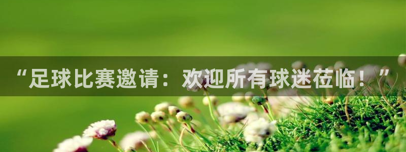  “足球比赛邀请：欢迎所有球迷莅临！”