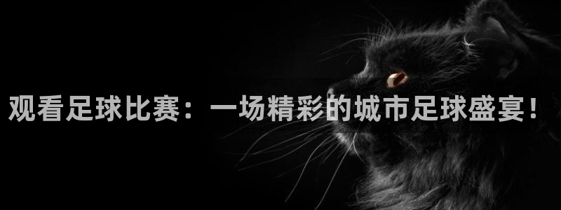  观看足球比赛：一场精彩的城市足球盛宴！