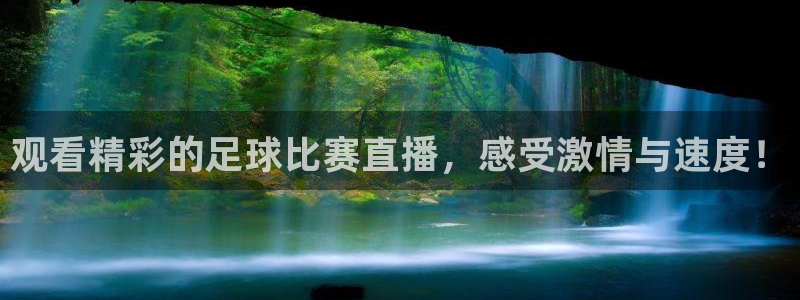 观看精彩的足球比赛直播，感受激情与速