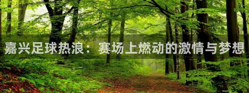 嘉兴足球热浪：赛场上燃动的激情与梦想