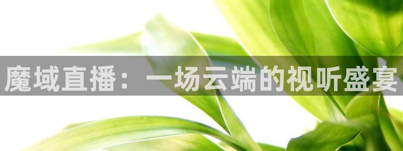 88看球直播网：魔域直播：一场云端的视听盛宴