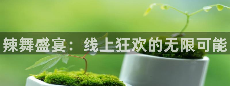 88看球nba直播免费：辣舞盛宴：线上狂欢的无限可能