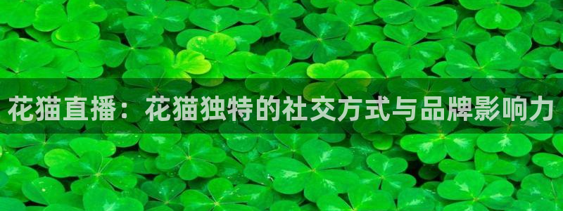 88看球直播吧：花猫直播：花猫独特的社交方式与品牌影响力