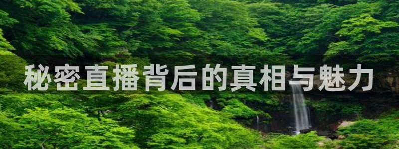 88看球在线直播：秘密直播背后的真相与魅力