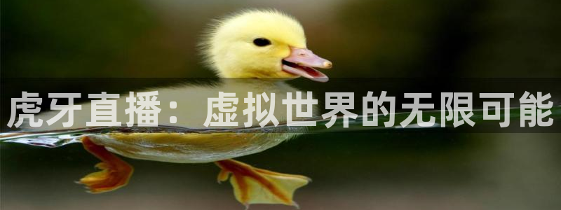 nba直播在线观看88看球官网：虎牙直播：虚拟世界的无限可能