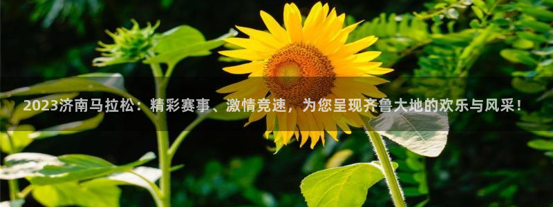 88看球在线直播