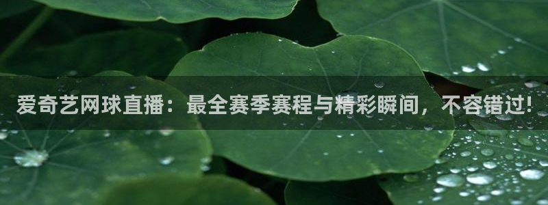 88看球nba直播视频在线直播官网