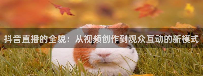 88看球nba直播间：抖音直播的全貌：从视频创作到观众互动的新模式