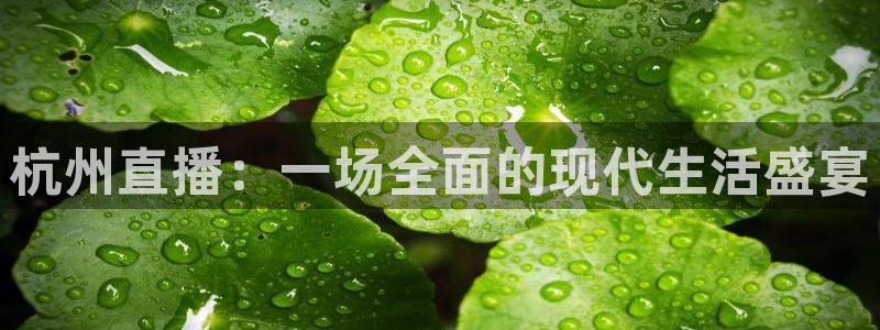 nba直播免费观看直播在线88看球：杭州直播：一场全面的现代生活盛宴