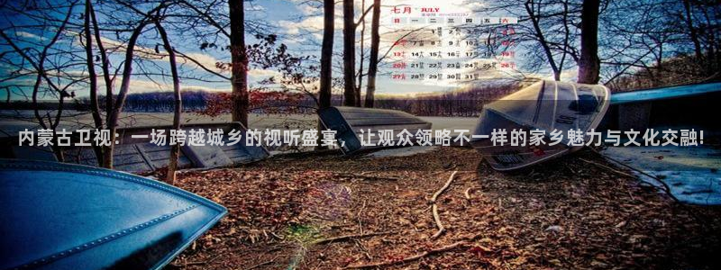 88看球nba直播在线观看：内蒙古卫视：一场跨越城乡的视听盛宴，让观众领略不一样的家乡魅力与文化交融!